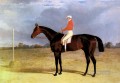 Eine dunkle Bucht Rennpferd mit Patrick Connolly Hering Snr John Frederick Rennpferd